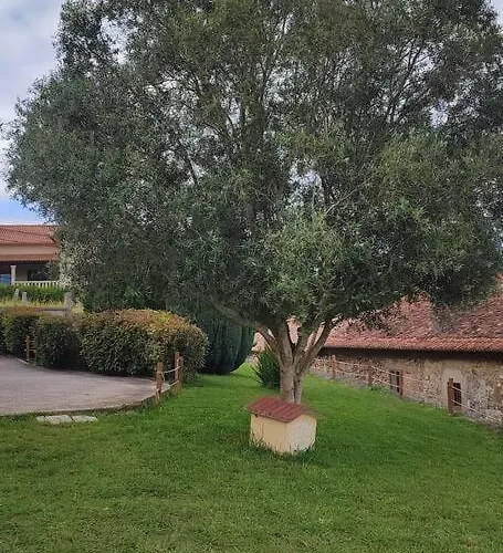 Solleiro 別荘 Tomiño